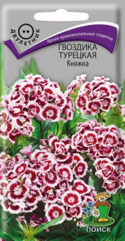 Гвоздика Турецкая Княжна /Поиск/