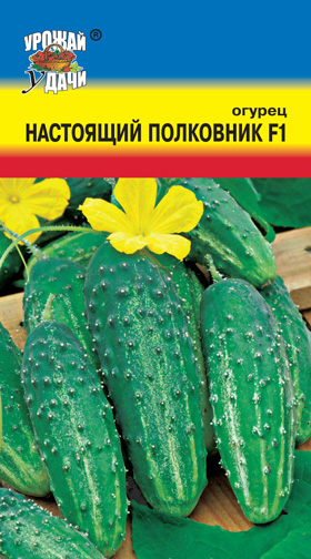 Огурец Настоящий полковник F1 /Урожай удачи/