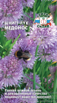 Лук шнитт Медонос /Седек/