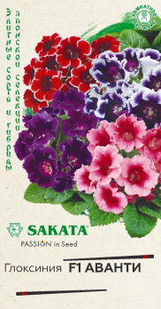 Глоксиния Аванти F1 /Гавриш/ SAKATA