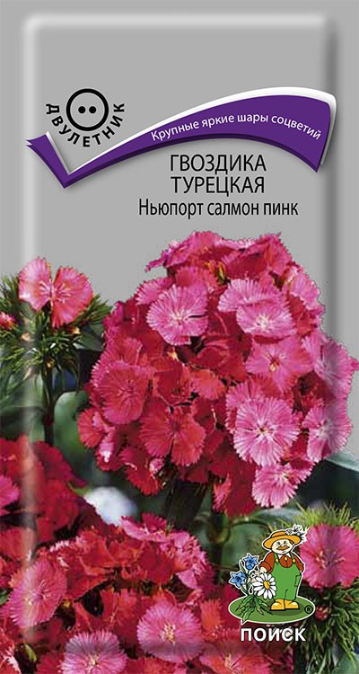 Гвоздика Турецкая Ньюпорт салмон пинк (0,5 г) /Поиск/