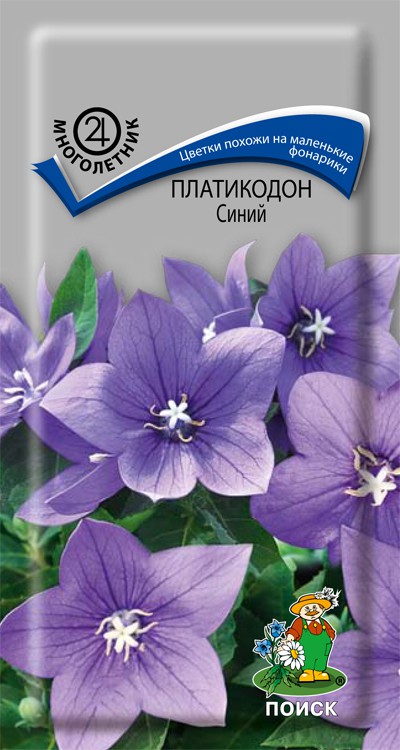 Платикодон Синий (0,1 г)/Поиск/