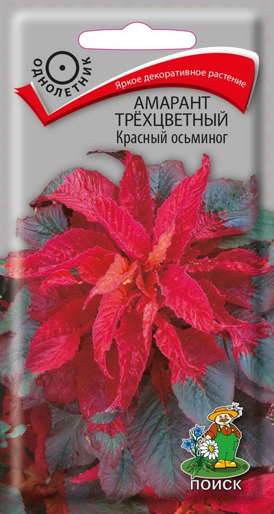 Амарант трехцветный Красный осьминог (0,1 г) /Поиск/