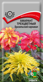 Амарант трехцветный Бразильский карнавал /Поиск/