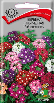 Вербена гибридная Звездная пыль (0,2 г) /Поиск/
