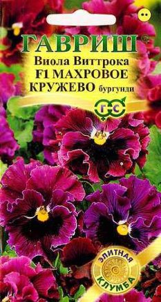 Виола Виттрока Махровое кружево бургунди F1 /Гавриш/