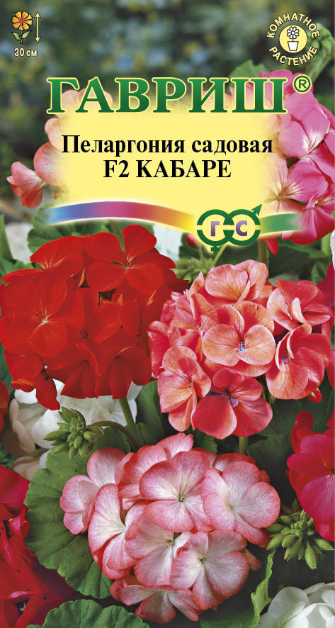 Пеларгония Кабаре /Гавриш/