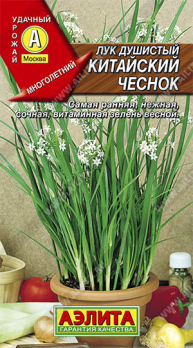 Лук душистый Китайский чеснок /Аэлита/
