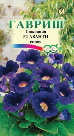 Глоксиния Аванти F1 синяя 5шт SAKATA /Гавриш/ Серия Эксклюзив