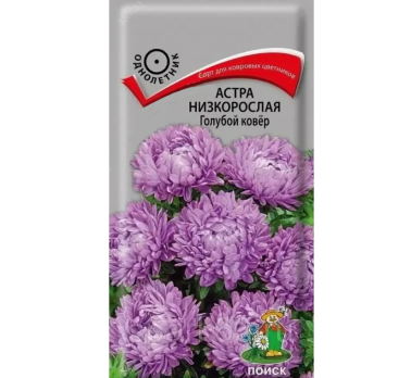 Астра низкорослая Голубой ковер (0,2 г) /Поиск/