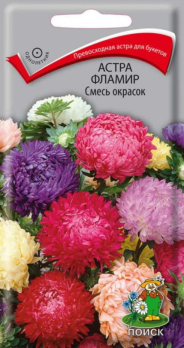 Астра Фламир Смесь окрасок/Поиск/
