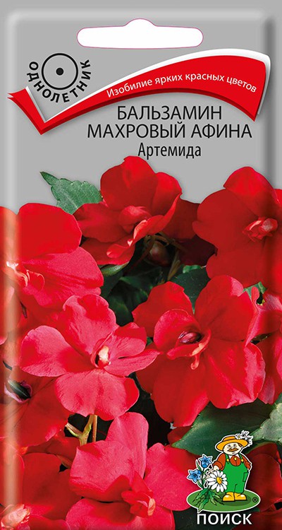 Бальзамин махровый Афина Артемида (5 шт) /Поиск/
