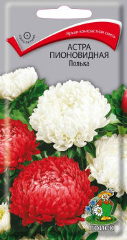 Астра пионовидная Полька (0,3 г) /Поиск/