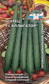 Огурец Аллигатор F1 /Седек/
