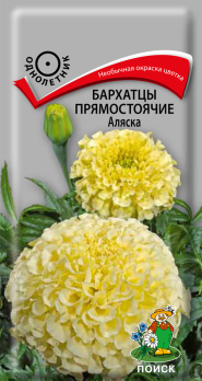 Бархатцы прямостоячие Аляска (0,4 г) /Поиск/