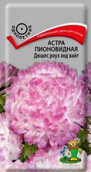 Астра пионовидная Дюшес роуз энд вайт (0,3 г) /Поиск/