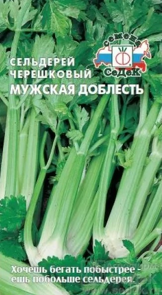 Сельдерей черешковый Мужская доблесть /Седек/