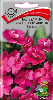 Бальзамин махровый Афина Паллада (5 шт) /Поиск/