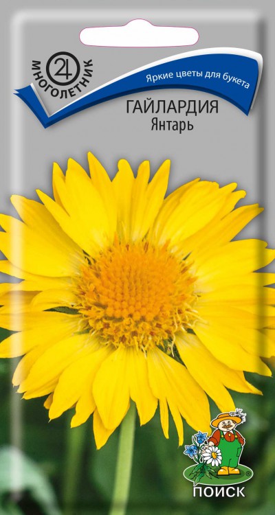 Гайлардия Янтарь /Поиск/