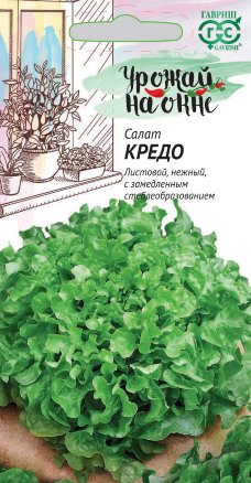 Салат Кредо листовой /Гавриш/ Урожай на окне