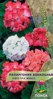 Пеларгония зональная Люстра Микс /Поиск/