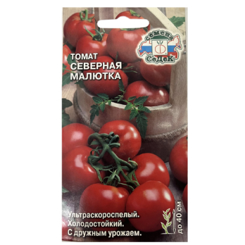 Томат Северная малютка /Седек/