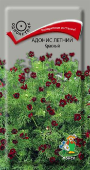 Адонис летний красный (0,3 г) /Поиск/