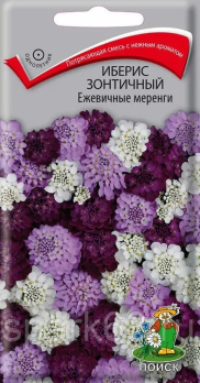 Иберис зонтичный Ежевичные меренги (0,1 г) /Поиск/