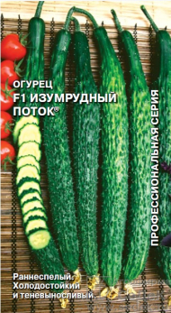 Огурец Изумрудный поток F1 /Седек/