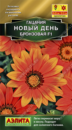 Гацания Новый день бронзовая /Аэлита/