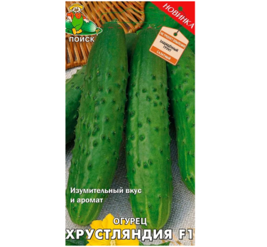 Огурец Хрустляндия F1 (А) цв /Поиск/