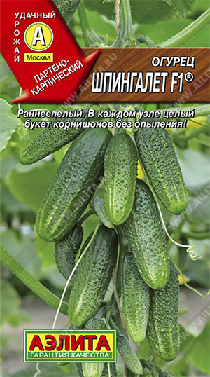 Огурец Шпингалет F1 (Нидерланды) /Аэлита/