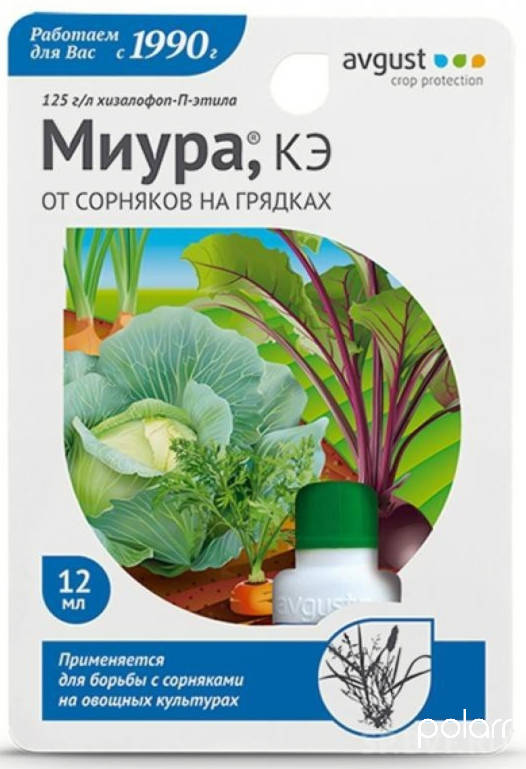 Миура 12мл /Август/ (80)