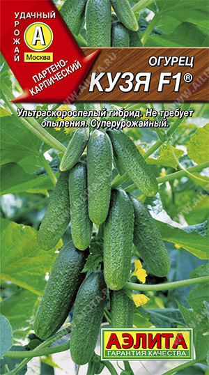 Огурец Кузя F1 (Италия) /Аэлита/