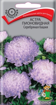 Астра пионовидная Серебряная башня (0,3 г) /Поиск/