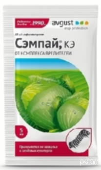 Сэмпай 5мл /Август/ (200)