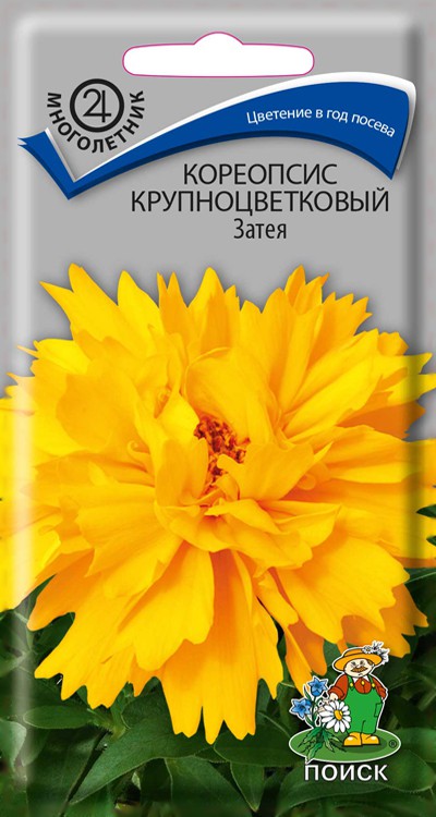 Кореопсис крупноцветковый Затея (0,05 г) /Поиск/