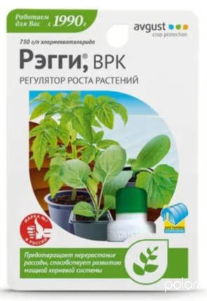 Рэгги 10мл /Август/(80)