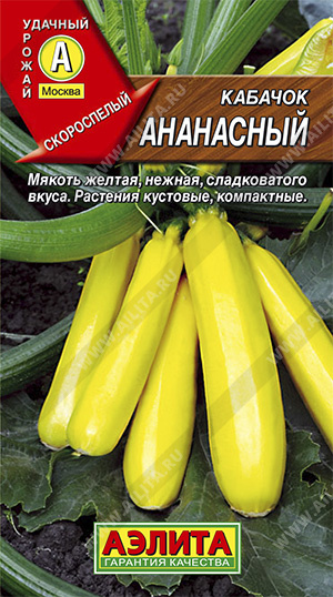 Кабачок Ананасный /Аэлита/