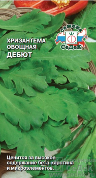 Хризантема овощная Дебют /Седек/