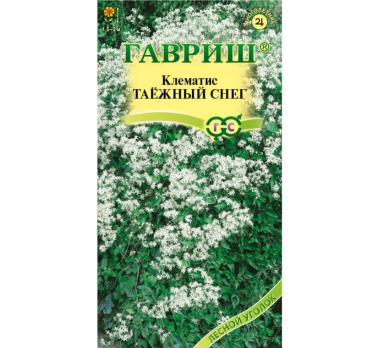 Клематис манчжурский Таежный снег /Гавриш/