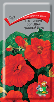 Настурция большая Красный блик /Поиск/