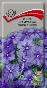 Флокс друммонда Красотка в голубом (0,1 г) /Поиск/