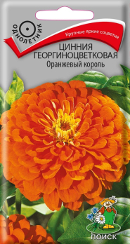 Цинния георгиноцветковая Оранжевый король (0,4г) /Поиск/