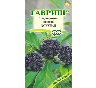 Элеутерокок колючий Эскулап /Гавриш/