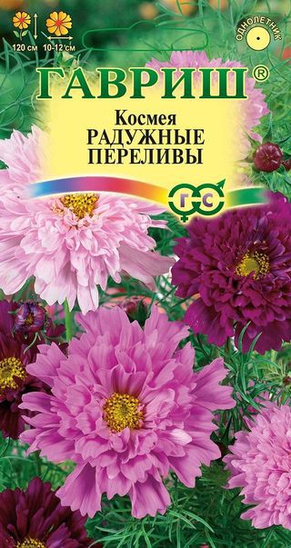 Космея махровая Радужные переливы /Гавриш/