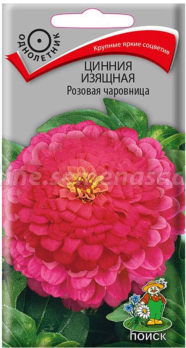 Цинния изящная розовая чаровница (0,3г) /Поиск/