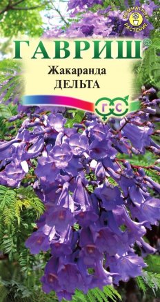 Жакаранда Дельта /Гавриш/