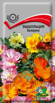 Эшшольция Балерина /Поиск/
