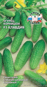 Огурец Клавдия F1 корнишон /Седек/